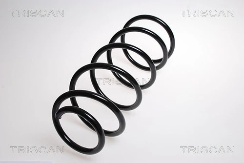 87501011 Triscan