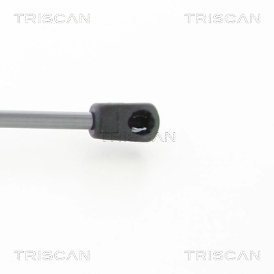 871014252 Triscan