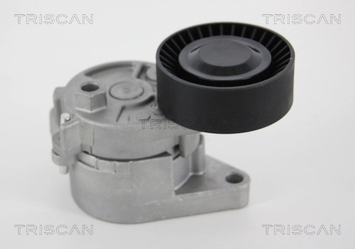 8641113005 Triscan