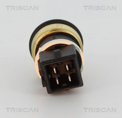 Sensor de temperatura do fluido de esfriamento Beru ST224