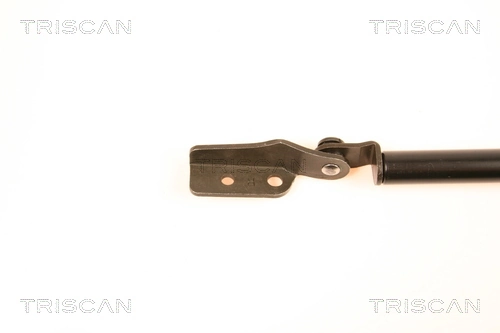 Amortecedor de tampa de porta-malas (de 3ª/5ª porta traseira) para Nissan Almera I N15