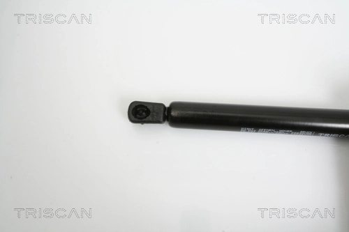 Amortecedor de tampa de porta-malas (de 3ª/5ª porta traseira) Mercedes B  W245