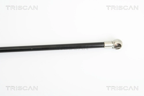 Compre Amortecedor de tampa de porta-malas (de 3ª/5ª porta traseira) Renault Scenic 