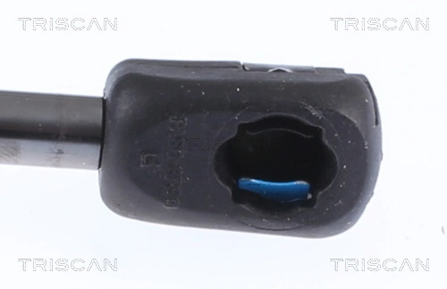 Compre 430719153900 Magneti Marelli Amortecedor de tampa de porta-malas (de 3ª/5ª porta traseira)