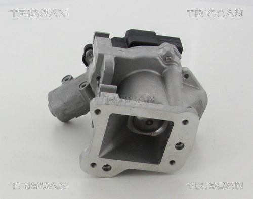 Válvula EGR de recirculação dos gases Fiat/Alfa/Lancia 96569117