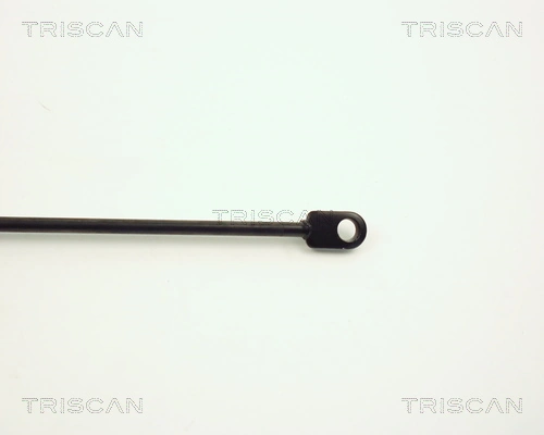 Amortecedor da capota BMW 3  E36