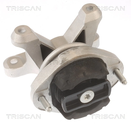 Coxim (suporte) traseiro de motor Audi A4 B7 8EC