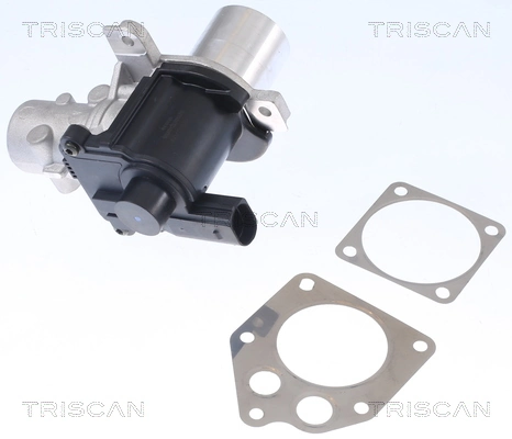 Compre Válvula EGR de recirculação dos gases Nissan Qashqai 1