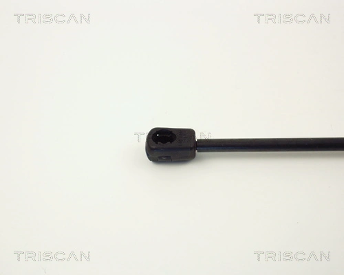 Amortecedor de tampa de porta-malas (de 3ª/5ª porta traseira) Ford Escort '86 EXPRESS AVF