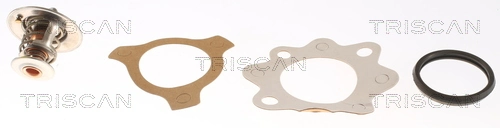 86206482 Triscan