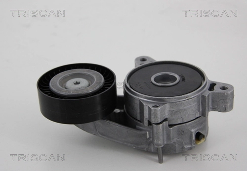 04891659AA Hyundai/Kia Reguladora de tensão da correia de transmissão