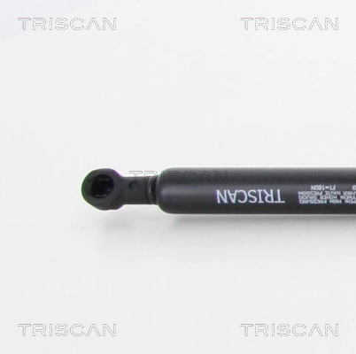  Amortecedor da capota BMW 7 sedan (E65, E66, E67) (2001 - 2008) 