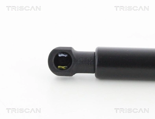 Compre 51249808987 BMW Amortecedor de tampa de porta-malas (de 3ª/5ª porta traseira)