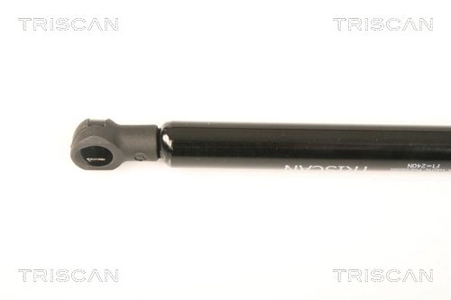  Amortecedor de tampa de porta-malas (de 3ª/5ª porta traseira) Mercedes S sedan (W221) (2005 - 2013) 