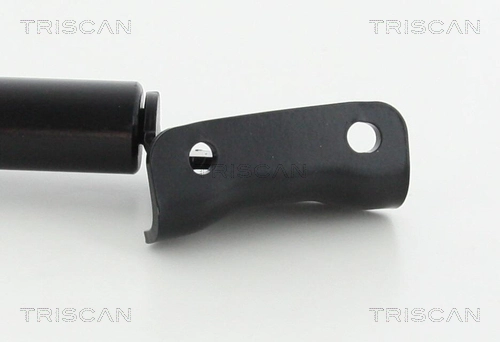 Amortecedor de tampa de porta-malas (de 3ª/5ª porta traseira) Triscan 871010218 preço, a partir de 38,55 USD
