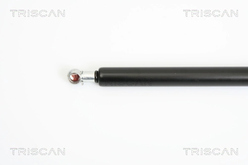 Amortecedor de tampa de porta-malas (de 3ª/5ª porta traseira) Volkswagen Jetta V 1K2