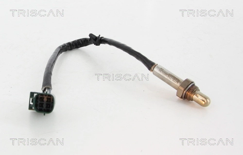 884514520 Triscan