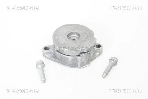 Reguladora de tensão da correia de transmissão Polcar 533008630 preço, a partir de 43,43 USD