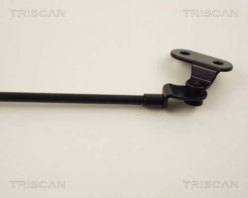Amortecedor de tampa de porta-malas (de 3ª/5ª porta traseira) Nissan Micra  K10