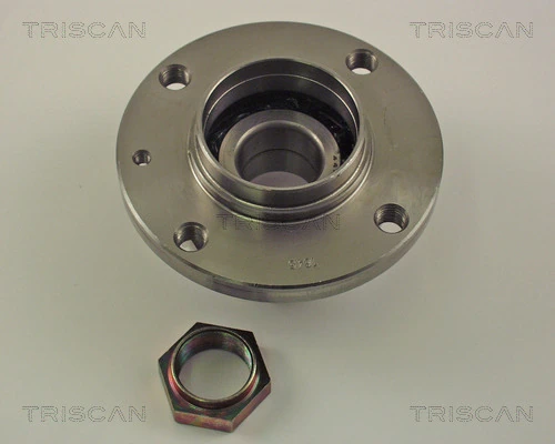 Cubo traseiro para Citroen C15  VD