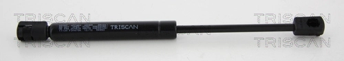 Amortecedor da capota BMW 7  F01, F02, F03, F04