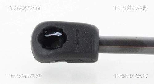 GS1344 Magneti Marelli Amortecedor de tampa de porta-malas (de 3ª/5ª porta traseira)