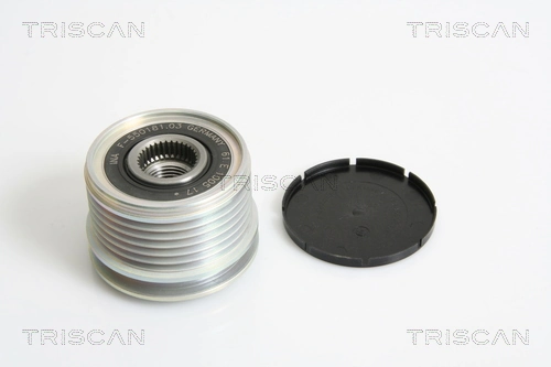 Compre Polia do gerador Renault Clio 2