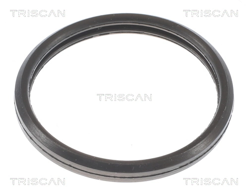 Compre 862010588 Triscan Termostato
