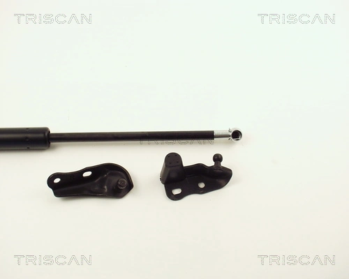 Amortecedor de tampa de porta-malas (de 3ª/5ª porta traseira) Toyota Avensis Verso LCM