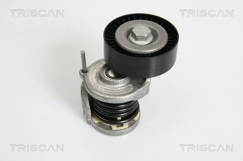 8641293021 Triscan