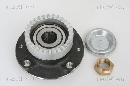 Cubo traseiro Citroen Xsara  N1
