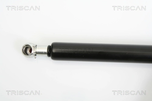 Amortecedor de tampa de porta-malas (de 3ª/5ª porta traseira) General Motors 13182537 preço, a partir de 11,69 USD