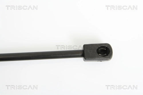 Compre 13182537 General Motors Amortecedor de tampa de porta-malas (de 3ª/5ª porta traseira)