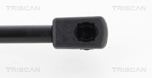 Amortecedor de tampa de porta-malas (de 3ª/5ª porta traseira) para Hyundai Santa Fe II CM