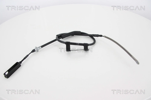 814018123 Triscan