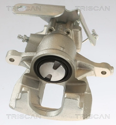 817516202 Triscan