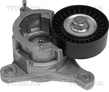 Reguladora de tensão da correia de transmissão para Peugeot 206  2D