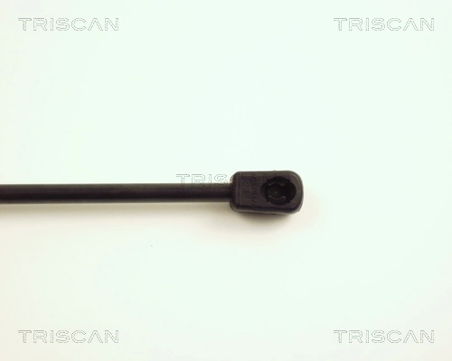 Compre Amortecedor de tampa de porta-malas (de 3ª/5ª porta traseira) Peugeot 307 