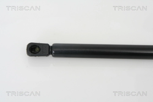  Amortecedor de tampa de porta-malas (de 3ª/5ª porta traseira) Audi A4 B7 sedan (8EC) (2004 - 2008) B7