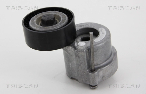 Compre 55561330 Peugeot/Citroen Reguladora de tensão da correia de transmissão