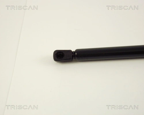 Amortecedor de tampa de porta-malas (de 3ª/5ª porta traseira) para Citroen AX  ZA