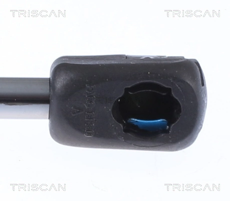 Amortecedor da capota Tesla Model S sedan (5YJS) (2012 - 2016) 