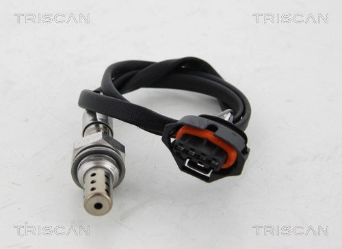 884524031 Triscan