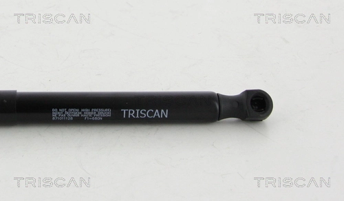 Amortecedor da capota para BMW X3  F25