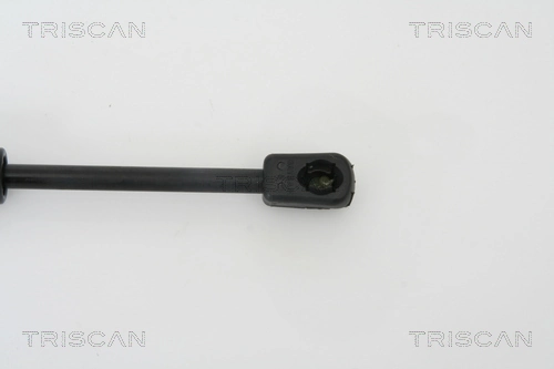 Compre Amortecedor de tampa de porta-malas (de 3ª/5ª porta traseira) Audi A4 