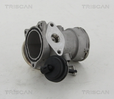 Compre Válvula EGR de recirculação dos gases Volkswagen Multivan 