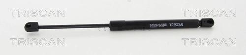 Amortecedor de tampa de porta-malas (de 3ª/5ª porta traseira) para Volkswagen Passat B7 362