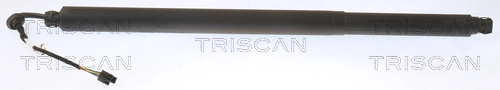 871029313 Triscan