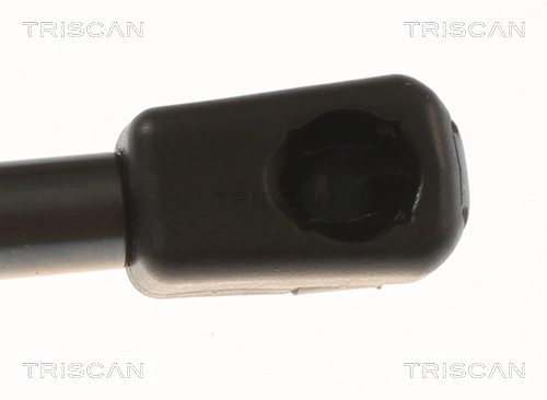  Amortecedor de tampa de porta-malas (de 3ª/5ª porta traseira) Tesla Model 3 sedan (5YJ3) (2016 - 2026) 