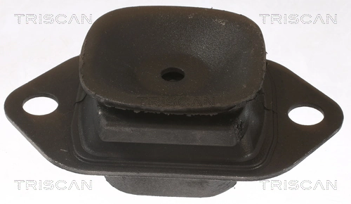 850525119 Triscan Coxim de transmissão (suporte da caixa de mudança)